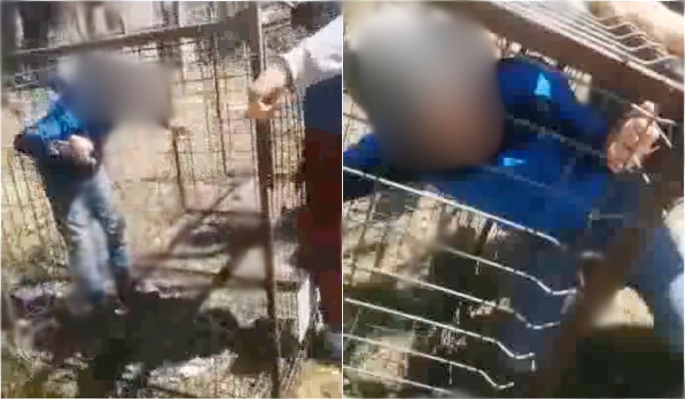 Un elev a fost băgat într-o cușcă de colegii săi și a fost umilit precum un câine | Scene șocante în curtea unei școli din Bacău
