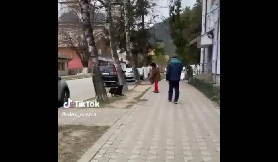 Momentul în care o bătrână a fost atacată de un câine în plină stradă. Intervenția unui bărbat a agravat situația 823221