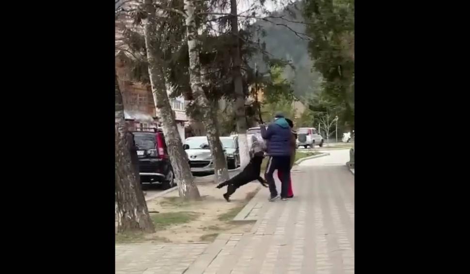 Momentul în care o bătrână a fost atacată de un câine în plină stradă. Intervenția unui bărbat a agravat situația 823223