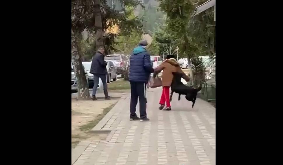 Momentul în care o bătrână a fost atacată de un câine în plină stradă. Intervenția unui bărbat a agravat situația 823224