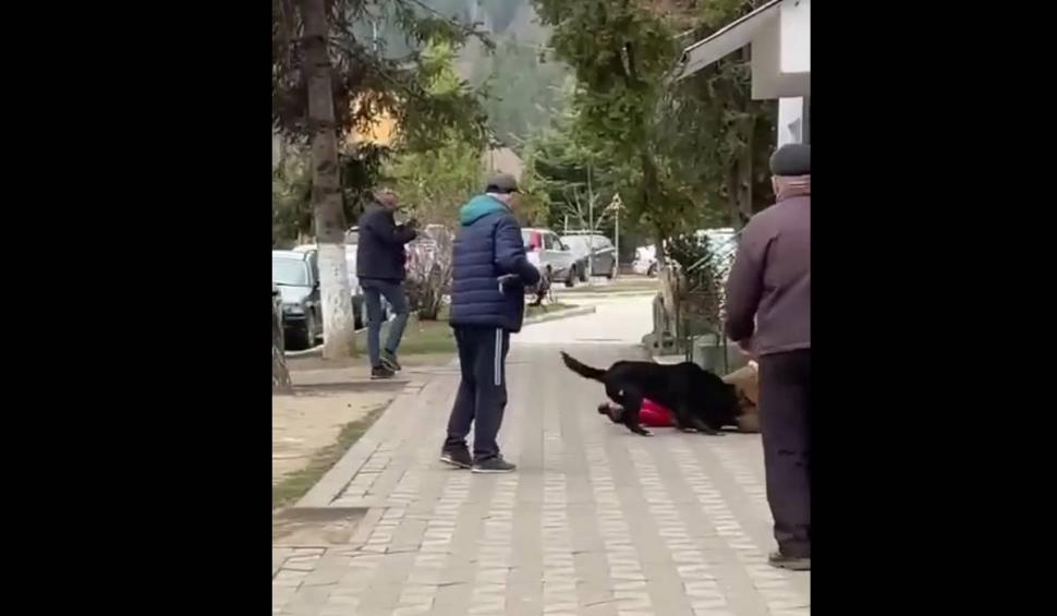 Momentul în care o bătrână a fost atacată de un câine în plină stradă. Intervenția unui bărbat a agravat situația 823225