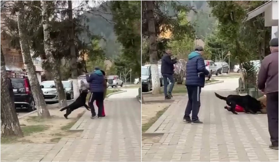Momentul în care o bătrână a fost atacată de un câine în plină stradă. Intervenția unui bărbat a agravat situația