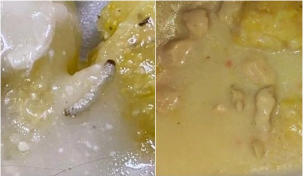 Ostropel de pui şi viermi, mâncarea primită de o elevă la o şcoală din Sălaj. DSP face anchetă