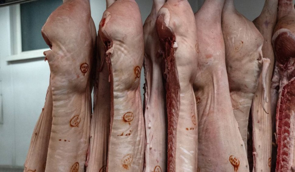 Trei români, prinşi după ce au furat peste cinci tone de carne, în Belgia. "Pentru consum propriu"