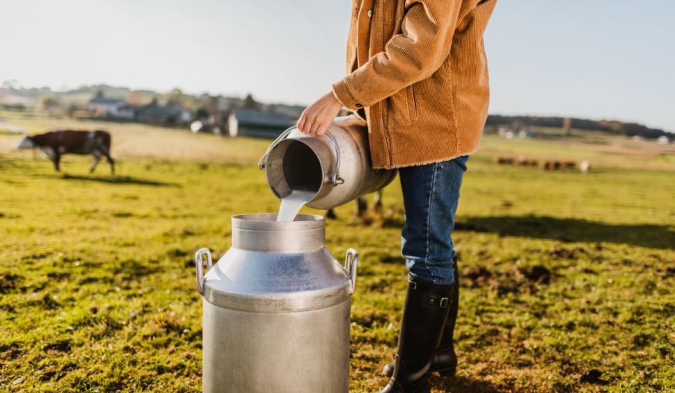 Unde e produs laptele Pilos din Lidl? Mulţi români nu citesc eticheta de pe cutie 823484