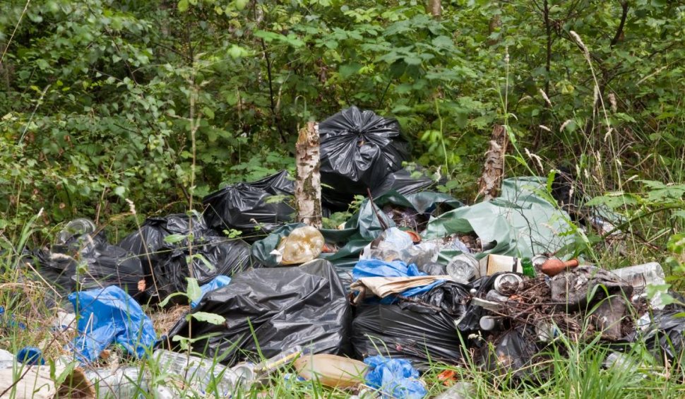 Bărbat amendat cu 30.000 de lei, după ce a aruncat gunoaie într-o pădure de lângă Slatina. A fost pus și să curețe zona