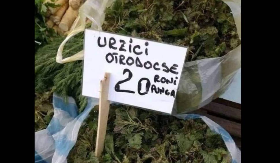 "Urzici dacice" și "urzici ortodocse", vândute de români în piețe, virale pe internet. Cât costă un kilogram  823875
