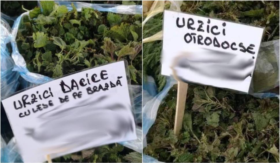"Urzici dacice" și "urzici ortodocse", vândute de români în piețe, virale pe internet. Cât costă un kilogram  823878