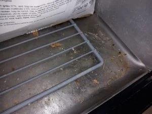 Cafenea cunoscută din București, închisă temporar de ANPC | Mizerie și fructe cu pesticide 824464