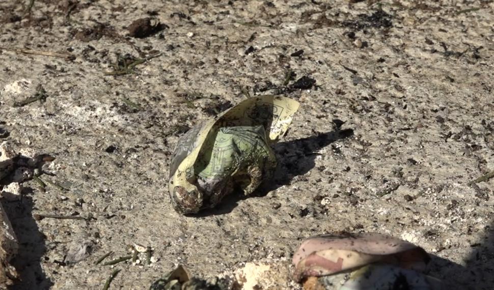 Un bătrân din Argeş, supărat pe o vecină, şi-a dat foc la avere: Un miliard de lei vechi s-au topit în flăcări 824559