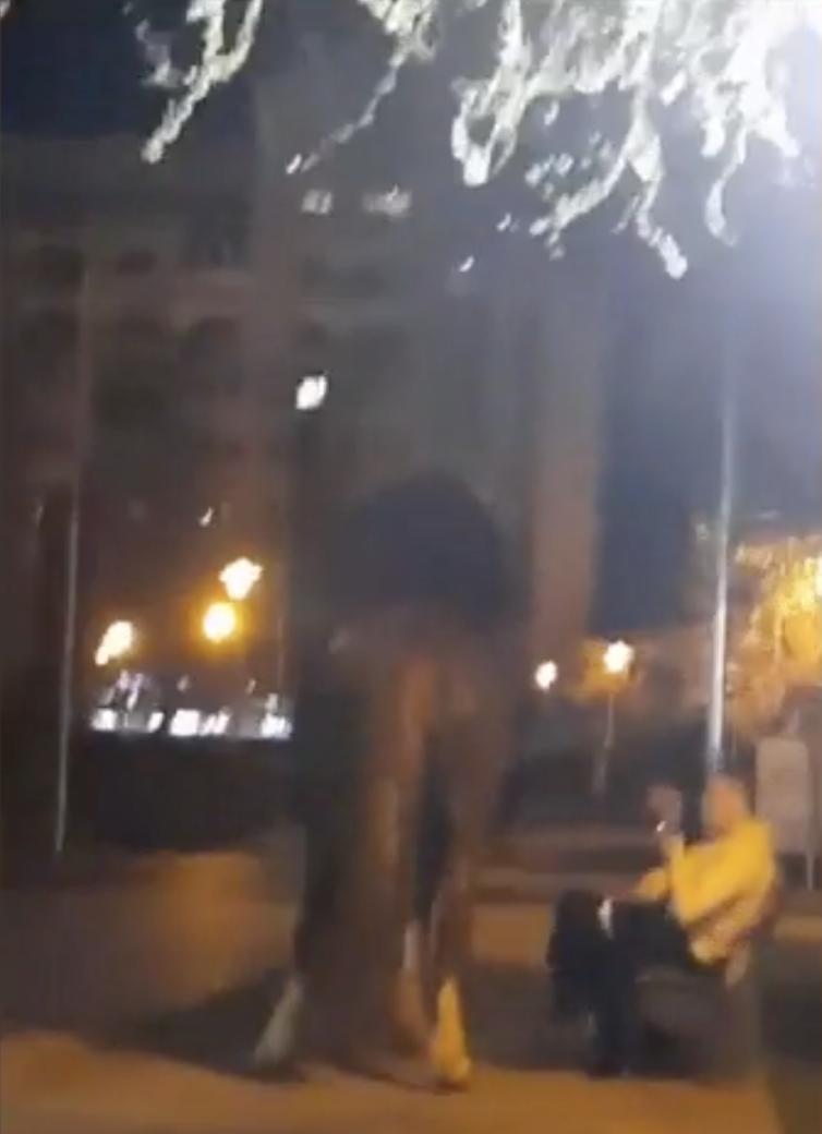 ”Omul e cu calul în parc! A rupt banca” | Mai mulți tineri și-au dus calul la păscut într-un parc din Baia Mare 824677