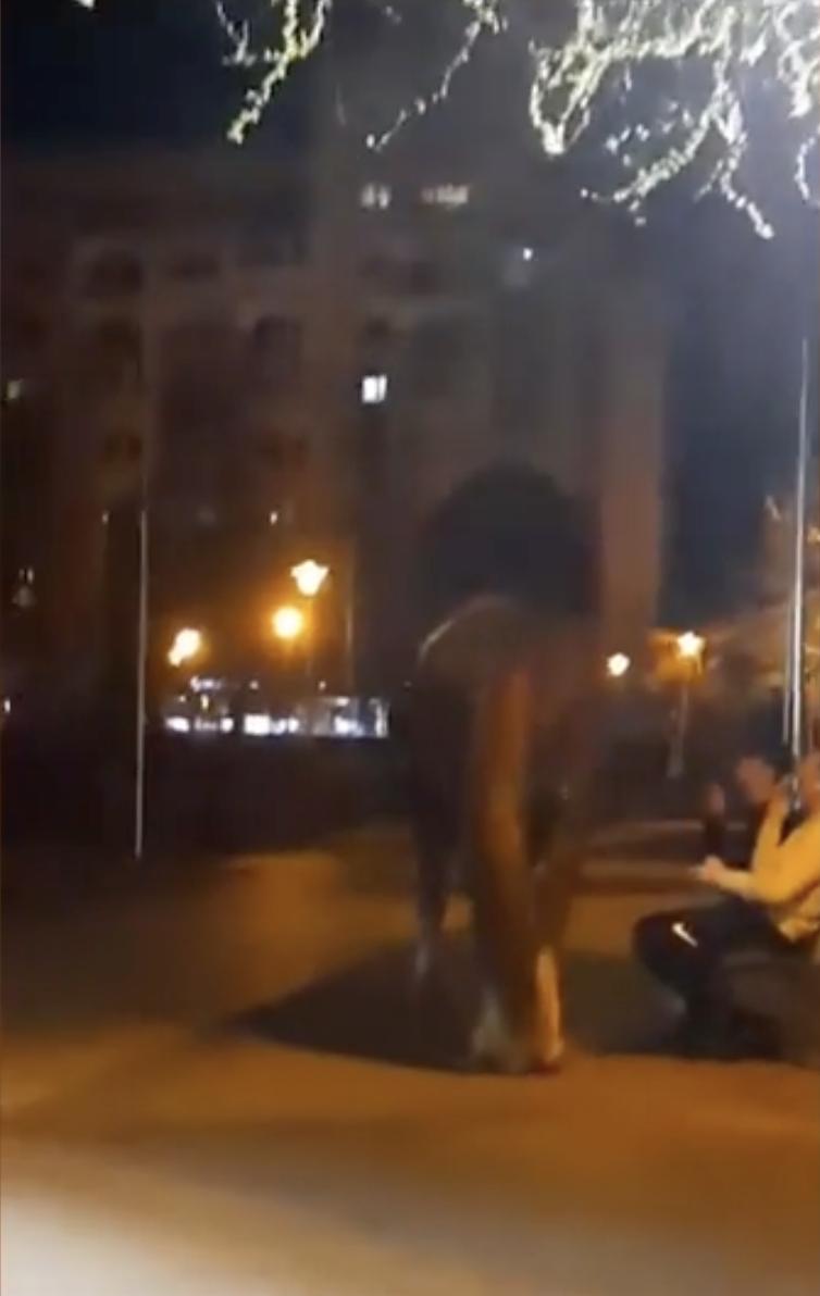 ”Omul e cu calul în parc! A rupt banca” | Mai mulți tineri și-au dus calul la păscut într-un parc din Baia Mare 824678