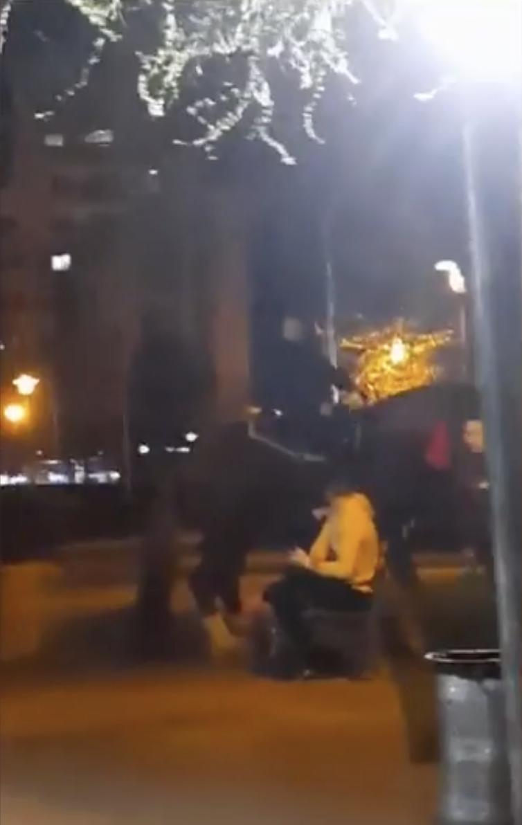 ”Omul e cu calul în parc! A rupt banca” | Mai mulți tineri și-au dus calul la păscut într-un parc din Baia Mare 824679