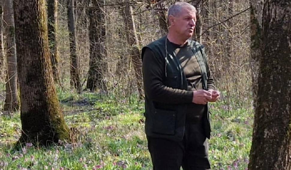 Românii care rup această floare primesc amenzi usturătoare. Puțini știu asta 824865