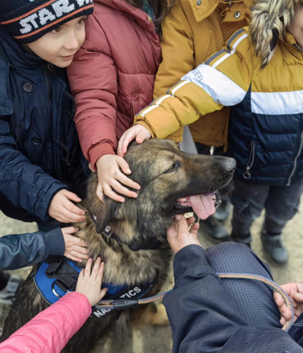 "Câinii vorbesc, dar doar celor care ştiu să asculte" | Ea este Ursa, căţeluşa vedetă din Vama Racovăţ 824921