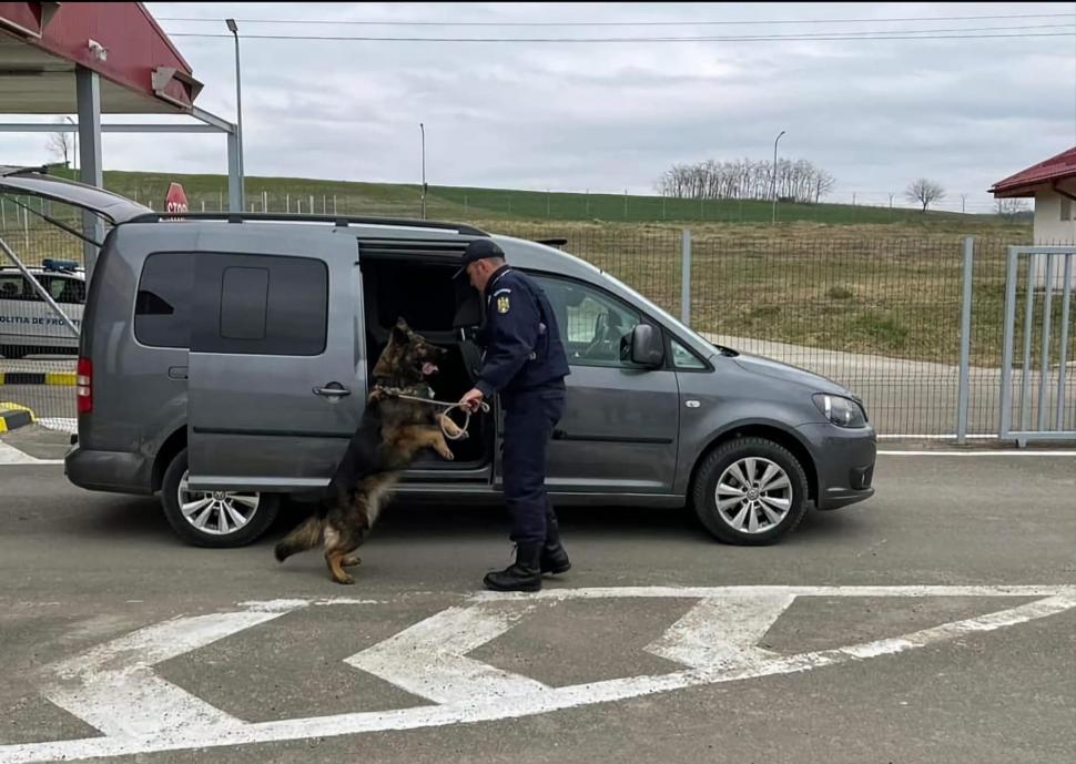 "Câinii vorbesc, dar doar celor care ştiu să asculte" | Ea este Ursa, căţeluşa vedetă din Vama Racovăţ 824924