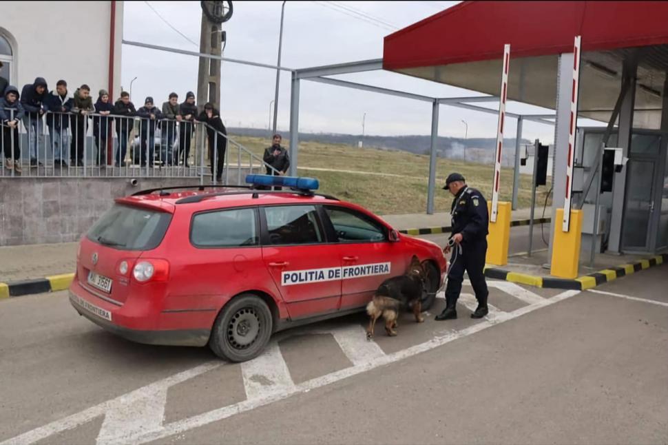 "Câinii vorbesc, dar doar celor care ştiu să asculte" | Ea este Ursa, căţeluşa vedetă din Vama Racovăţ 824925