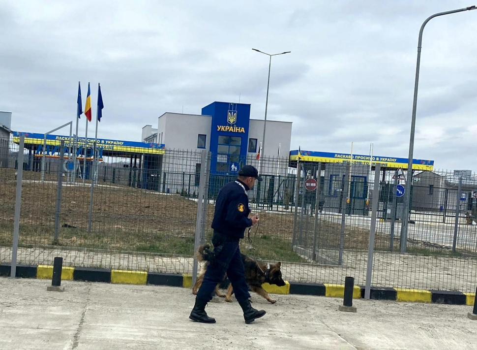 "Câinii vorbesc, dar doar celor care ştiu să asculte" | Ea este Ursa, căţeluşa vedetă din Vama Racovăţ 824926