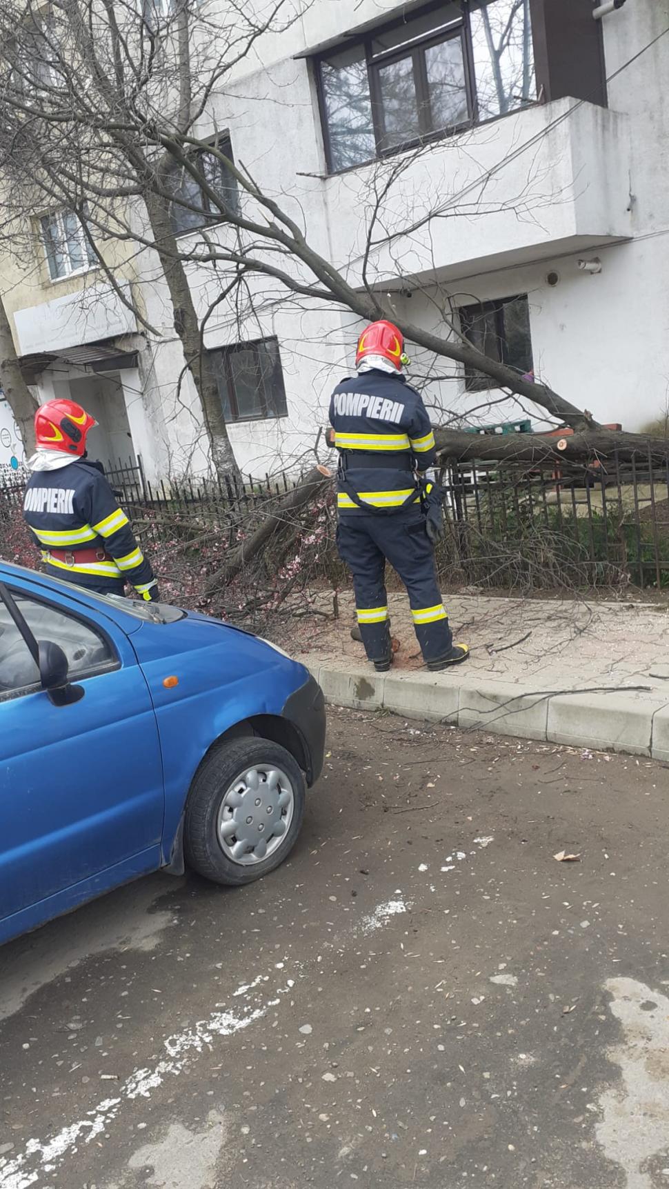 Vântul puternic a făcut ravagii în mai multe zone din țară. Copaci rupți și mașini avariate 825252