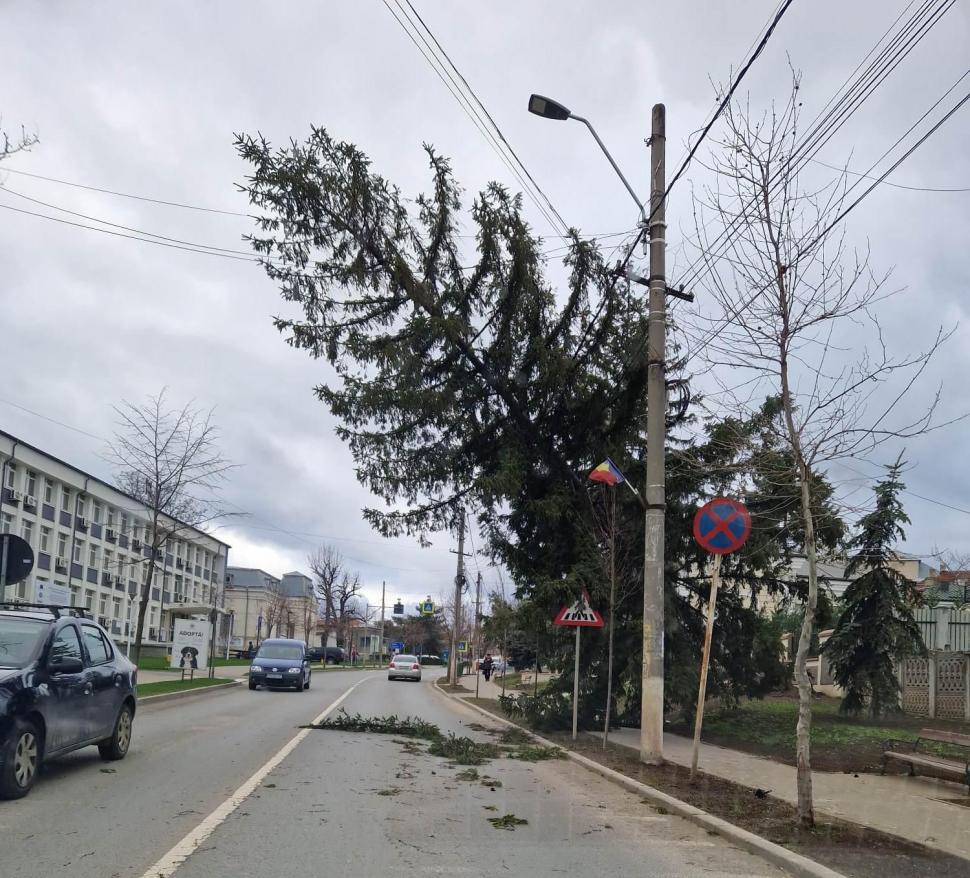 Vijelia a făcut prăpăd în România! Acoperișul sediului Jandarmeriei, luat de vânt la Suceava | Femeie rănită de un banner smuls de vânt, în Galați 825322