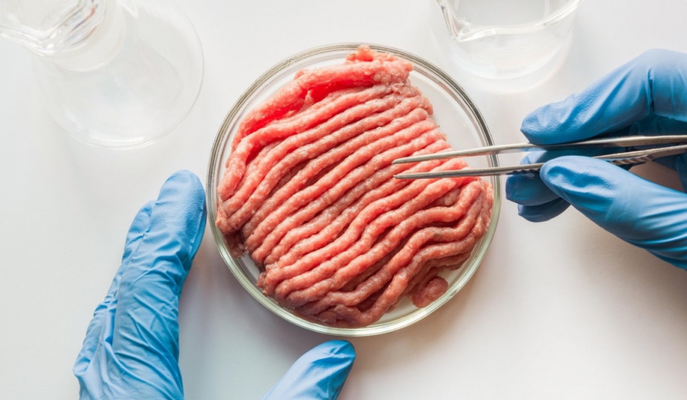 Țara din UE care interzice carnea artificială și alte alimente sintetice. Amendă usturătoare pentru încălcarea interdicției
