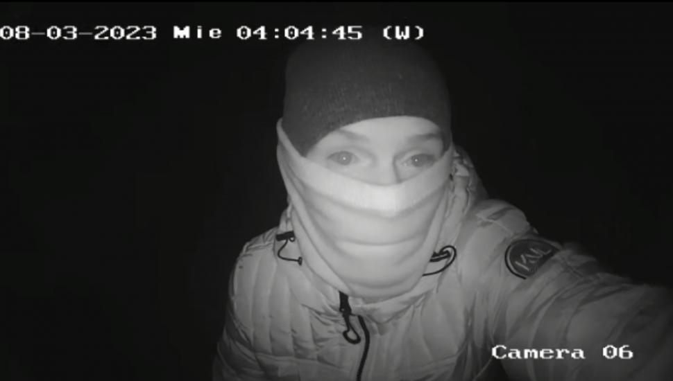 Un bărbat a furat 20.000 de lei după ce a distrus aparatele dintr-o sală de jocuri de noroc, într-o comună din Dolj 825782