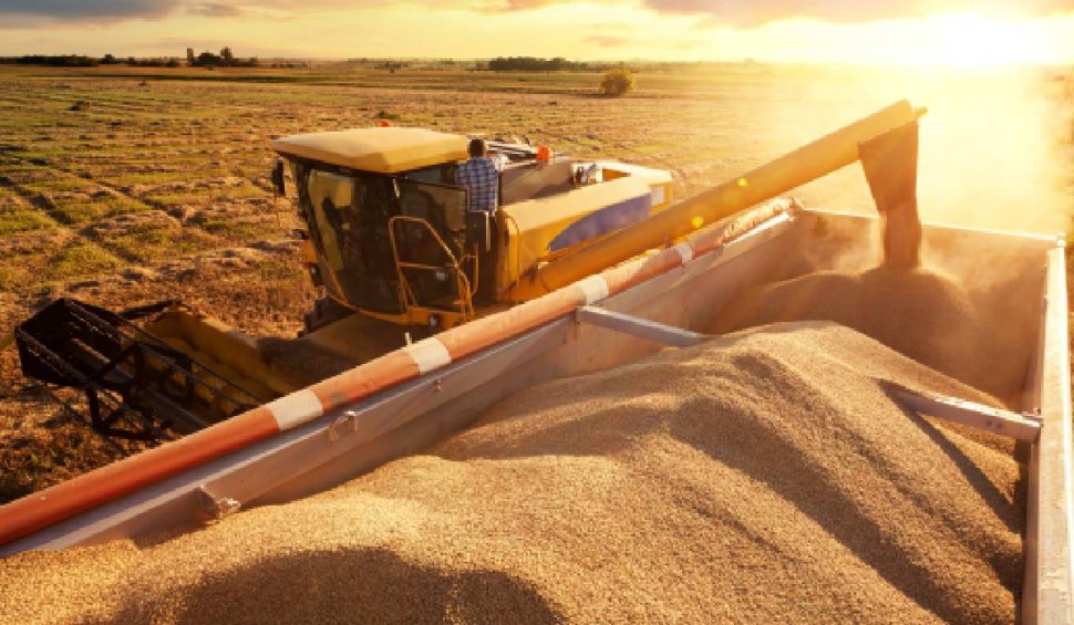 Polonia și alte țări cer Uniunii Europene soluții pentru exportul cerealelor din Ucraina