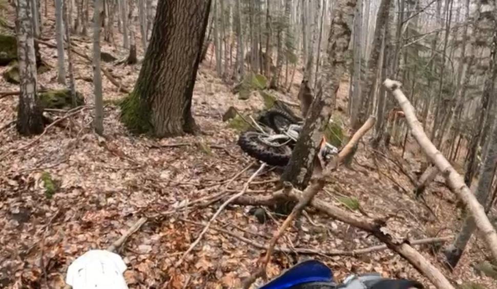 Momentul în care un motociclist a fost atacat de urs, într-o pădure din Braşov 826426