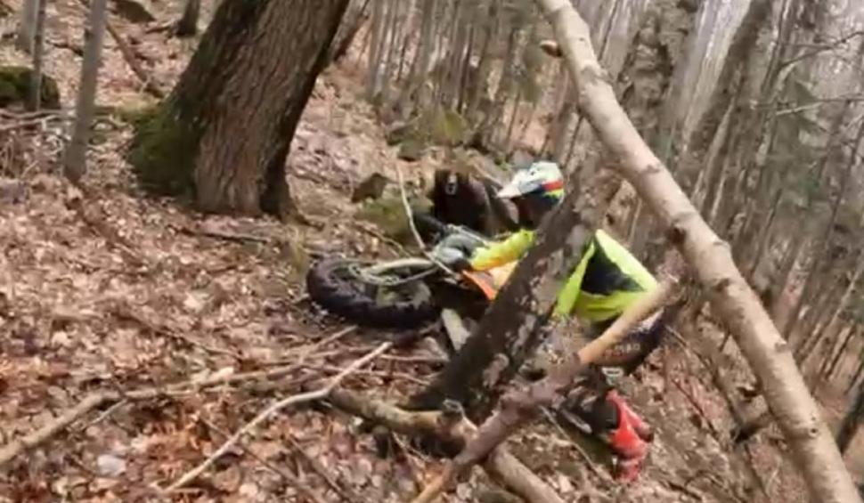 Momentul în care un motociclist a fost atacat de urs, într-o pădure din Braşov 826427
