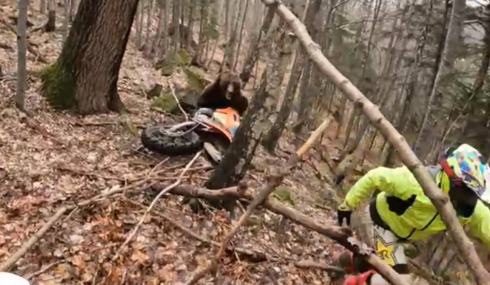 Momentul în care un motociclist a fost atacat de urs, într-o pădure din Braşov