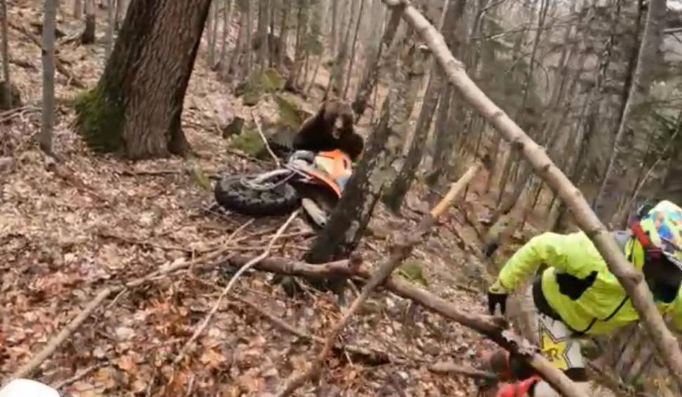Momentul în care un motociclist a fost atacat de urs, într-o pădure din Braşov 826429