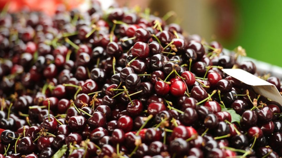 Cât va ajunge să coste un kilogram de cireșe în România și când apar primele fructe pe piață