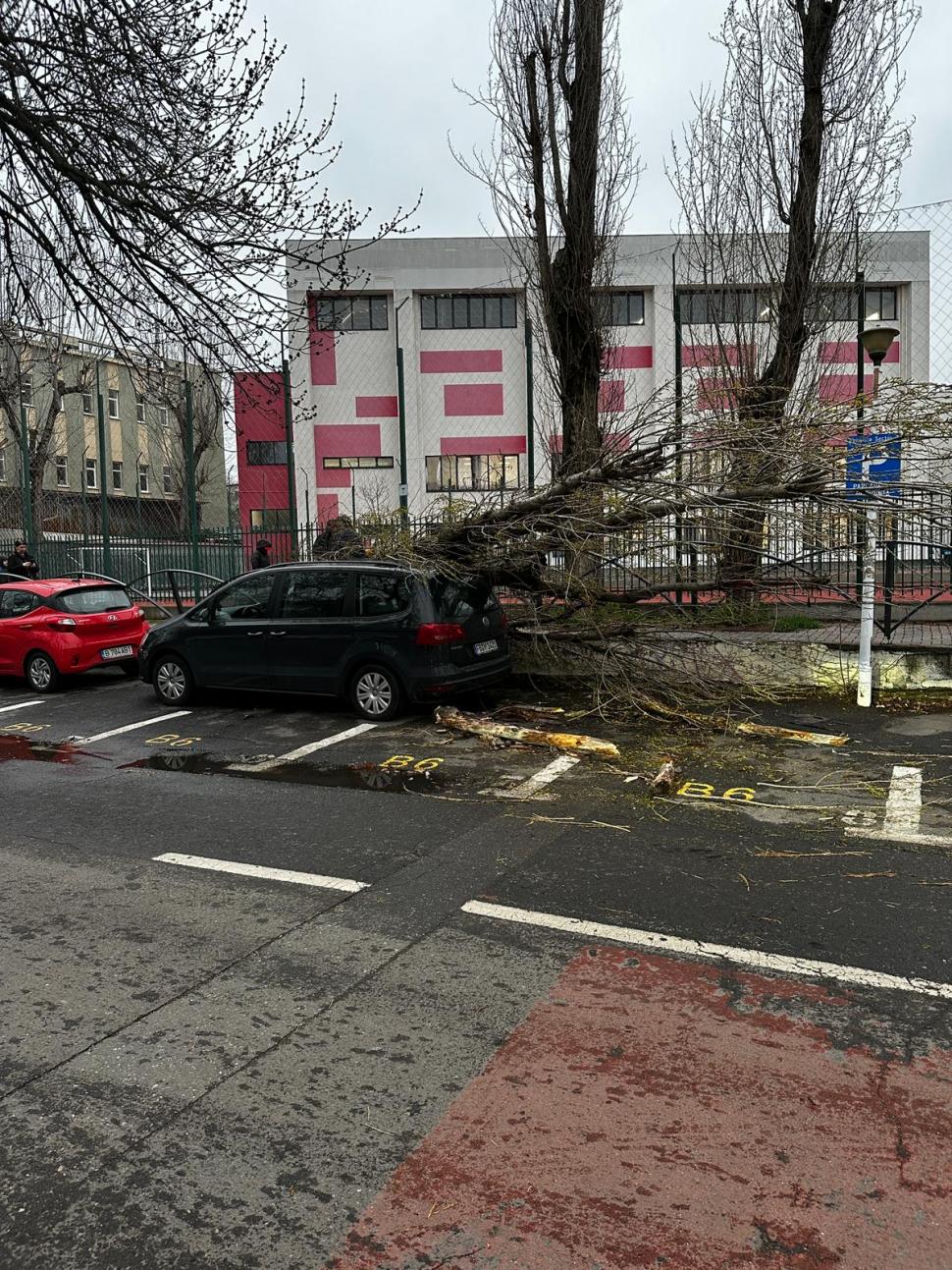 Prăpăd în București: copaci rupți, mașini avariate și un semafor pus la pământ de vântul puternic. Autobuze STB deviate 826675