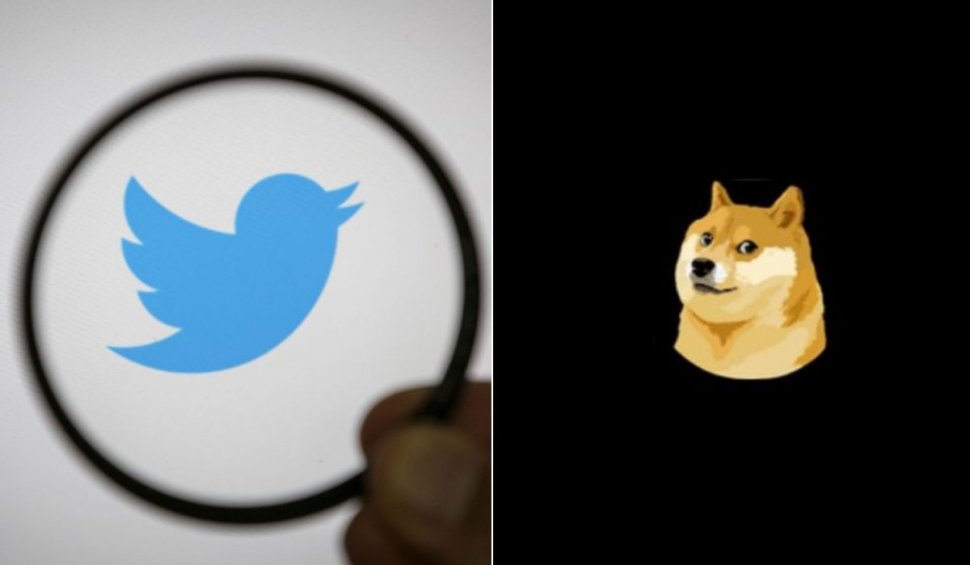 Twitter are un nou logo, iar celebra pasăre a fost schimbată cu Doge