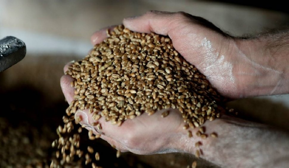 Polonia interzice vânzarea de cereale ucrainene pe teritoriul țării