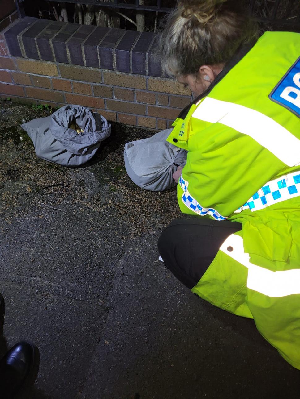 O femeie a sunat la Poliţie, după ce a găsit pe marginea unui drum mai multe feţe de pernă care aveau ceva viu în ele: "Instinctul meu a știut" 828110