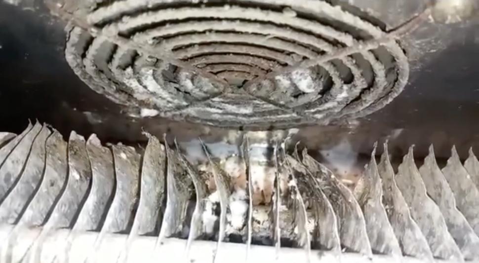 Alimente expirate și ținute printre gândaci, în piețele din București. ANPC a dat amenzi uriașe 828303