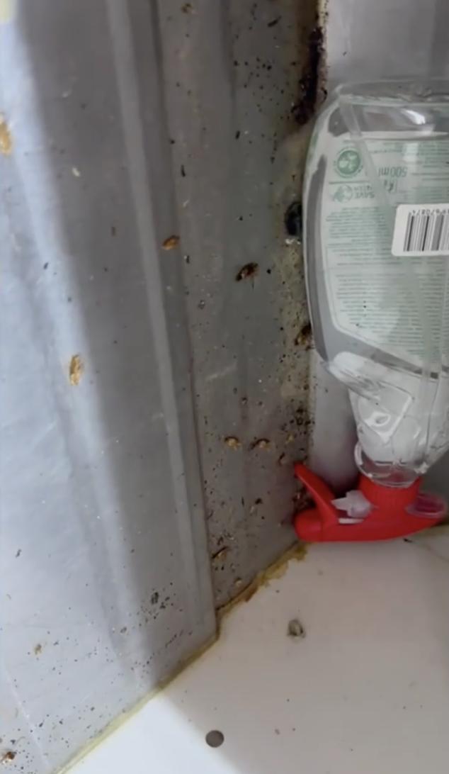 Alimente expirate și ținute printre gândaci, în piețele din București. ANPC a dat amenzi uriașe 828304