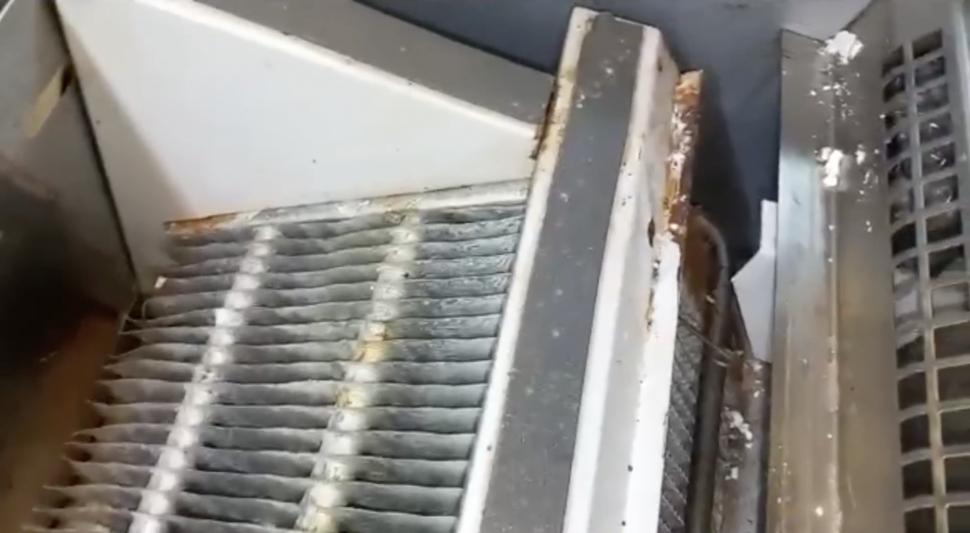 Alimente expirate și ținute printre gândaci, în piețele din București. ANPC a dat amenzi uriașe 828306