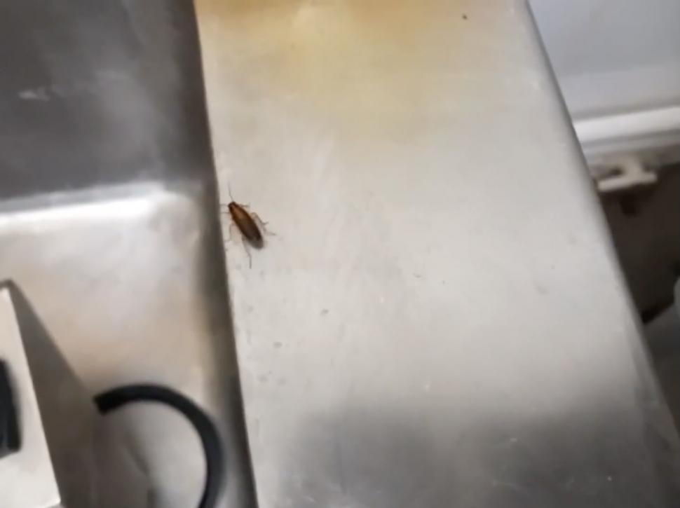 Alimente expirate și ținute printre gândaci, în piețele din București. ANPC a dat amenzi uriașe 828307