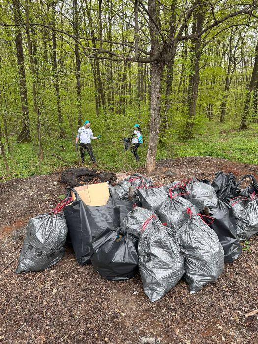 Curățenia de Paște în pădurea Lucianca - o inițiativă Sarantis România împreună cu Let’s Do It România 828353