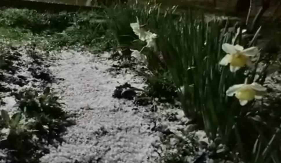 "Prunii și merii au plâns cu lacrimi de flori": Un potop cu grindină s-a abăut în Vinerea Mare, peste livezile și casele din Caraș-Severin 828813