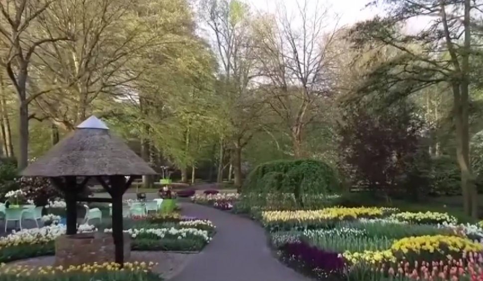 Așa arată cea mai mare grădină de flori din lume. A fost deschisă pentru vizitatori