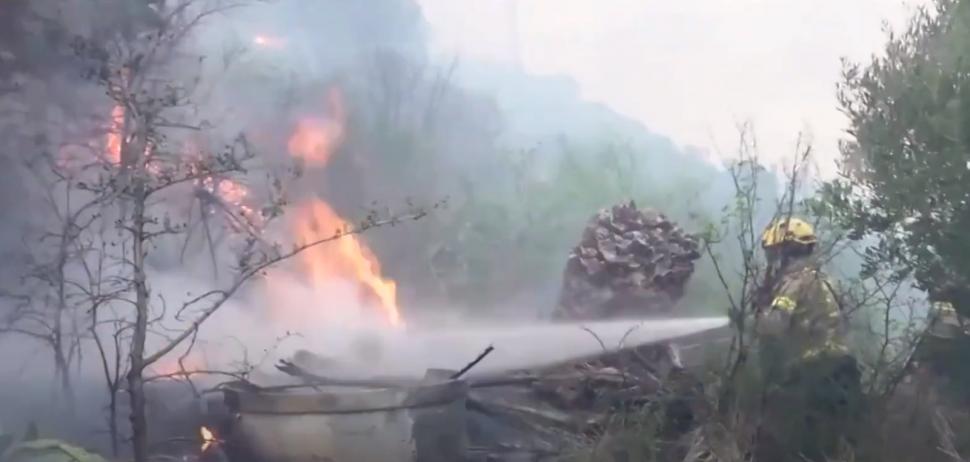 Incendii masive la graniţa franco-spaniolă: Peste 1.000 hectare au ars 829232