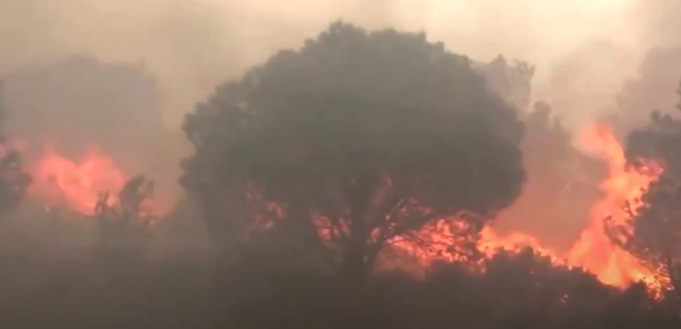 Incendii masive la graniţa franco-spaniolă: Peste 1.000 hectare au ars 829234