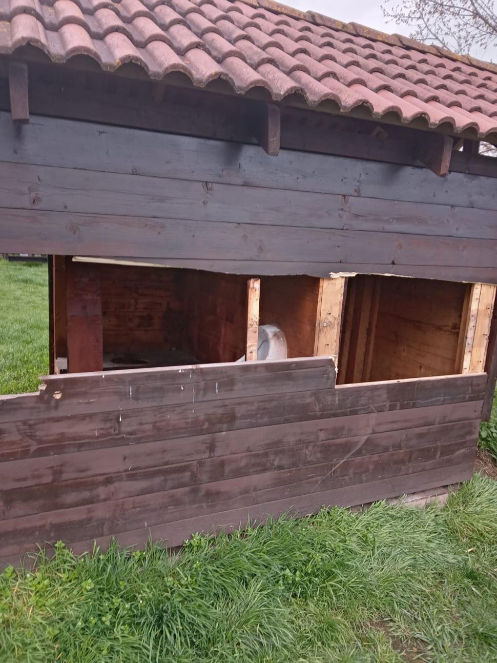 Au făcut grătar cu lemne rupte dintr-un WC public, în Copşa Mică, în prima zi de Paşte 829338