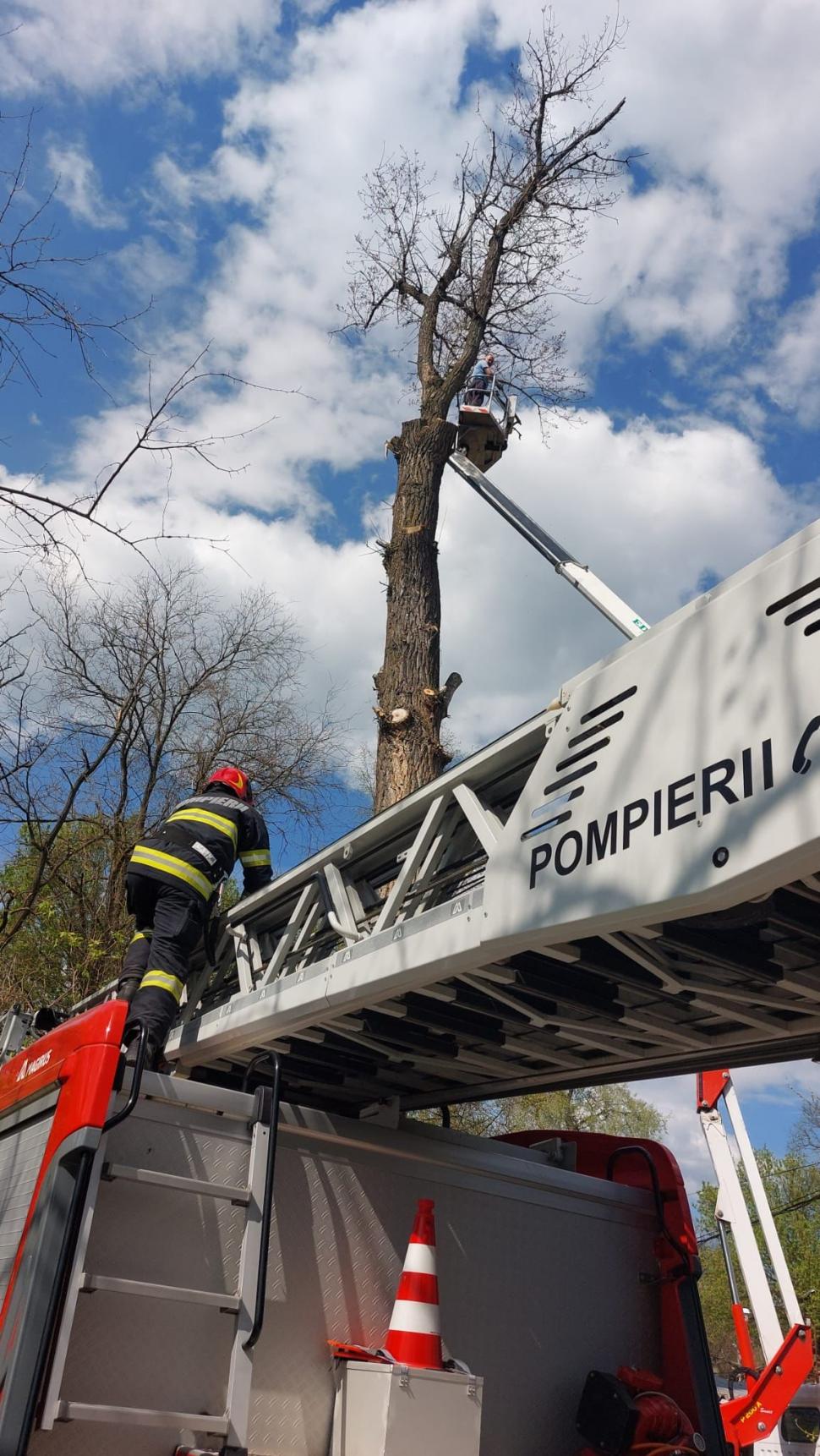 Un bărbat din Arad a rămas blocat în nacelă, la 20 de metri înălțime. Pompierii au acționat imediat 829955