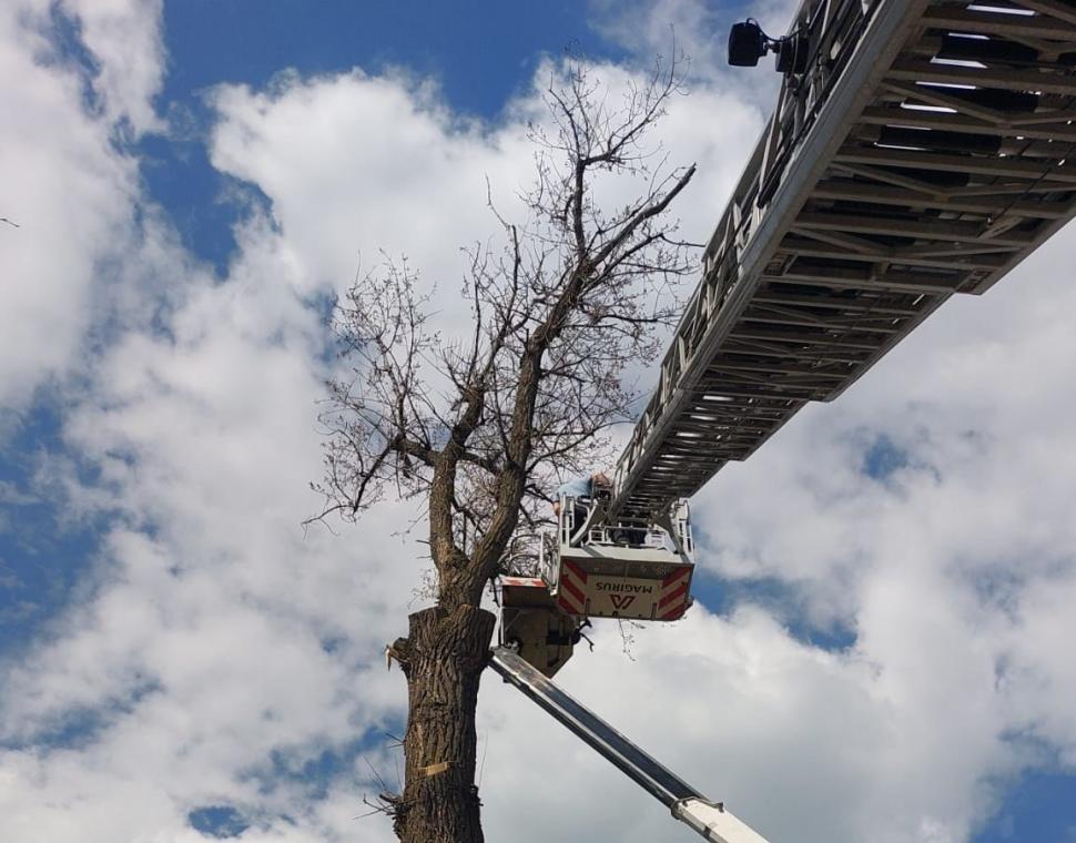 Un bărbat din Arad a rămas blocat în nacelă, la 20 de metri înălțime. Pompierii au acționat imediat 829956
