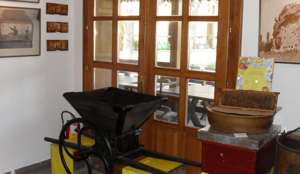 Vacanțe cu oferte gastronomice în Serbia 830381