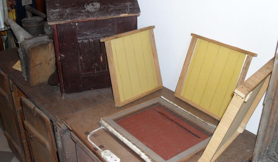 Vacanțe cu oferte gastronomice în Serbia 830382